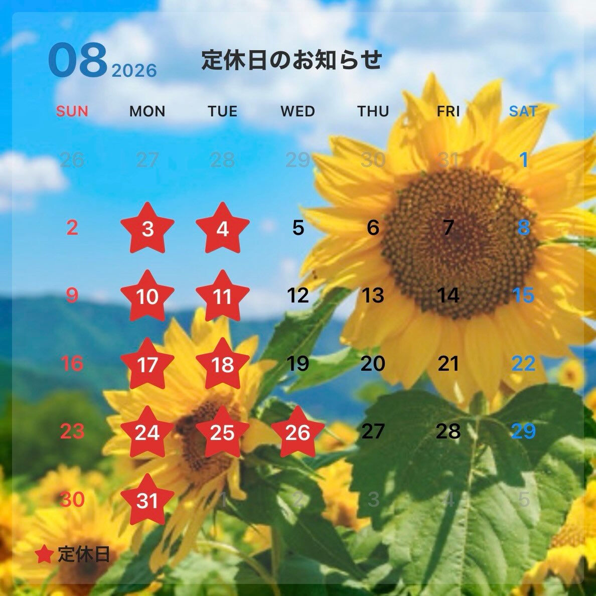 いつもありがとうございます🌻